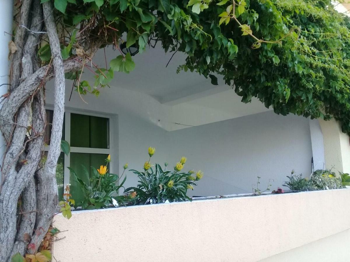 Montenegrina Apartment Будва Экстерьер фото